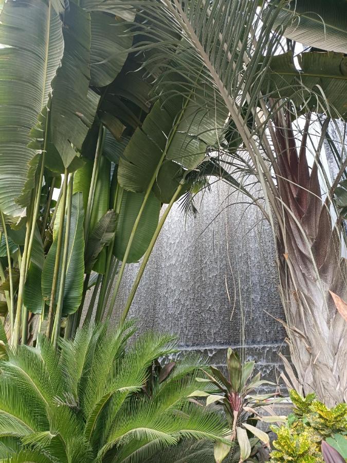 Sheraton Ocean 203 - Private Apartments カイロ エクステリア 写真